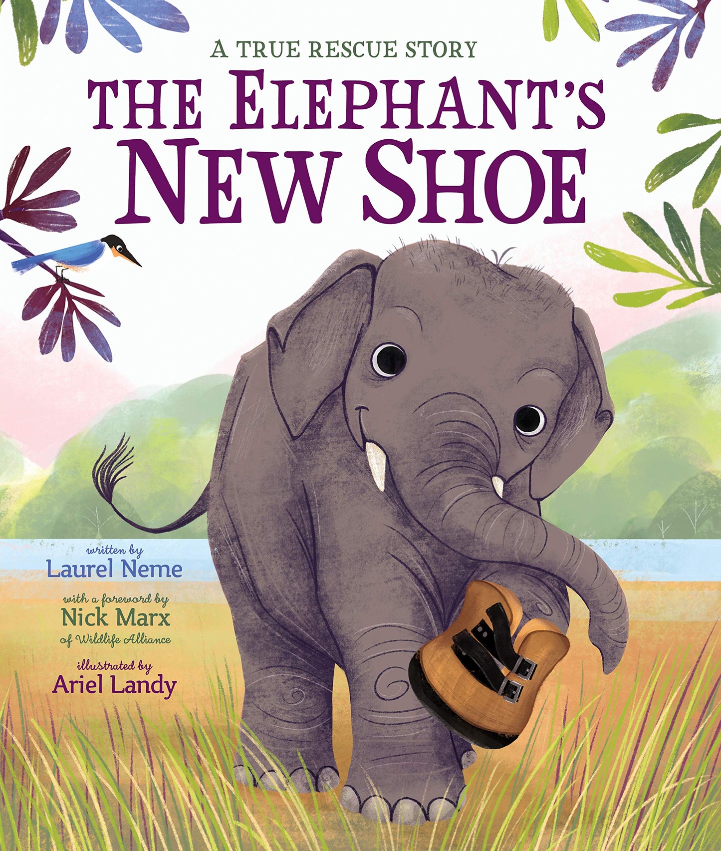 The Elephant's New Shoe - 9622