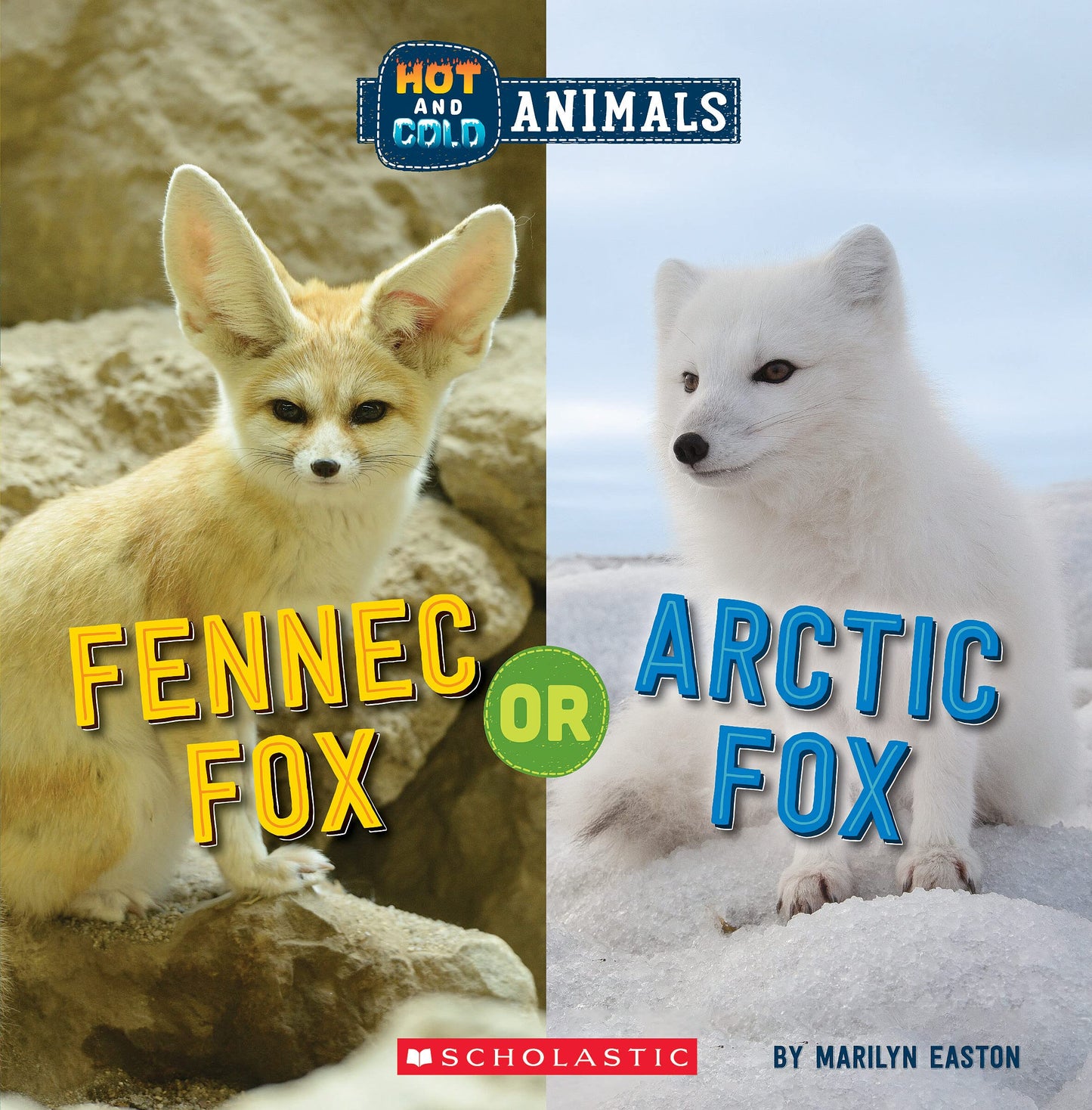 Fennec Fox or Arctic Fox (Wild World: Hot and Cold Animals) (2)