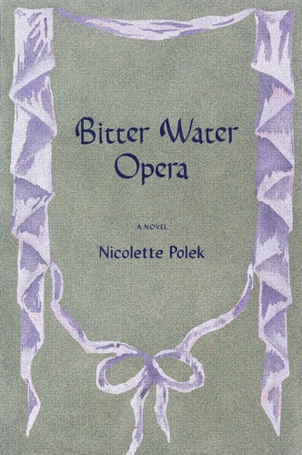 Bitter Water Opera: a novel