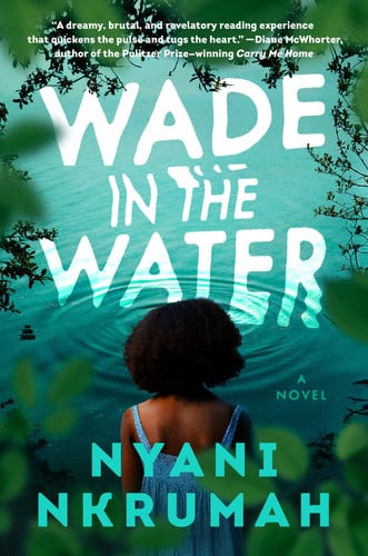 Wade in the water: a novel