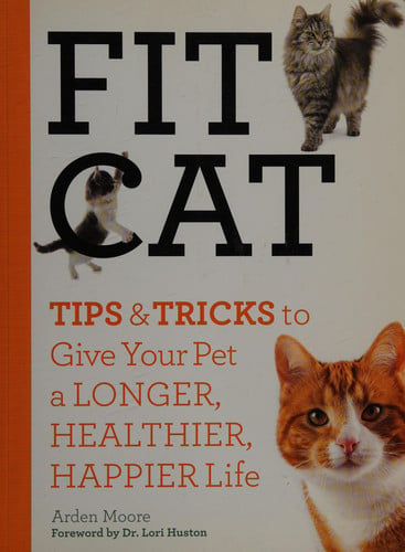Fit Cat Tips and Tricks to Give Your Pet a Longer, Healthier, Happier Life