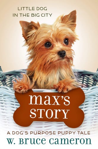 Max's Story A Dog's Purpose Puppy Tale