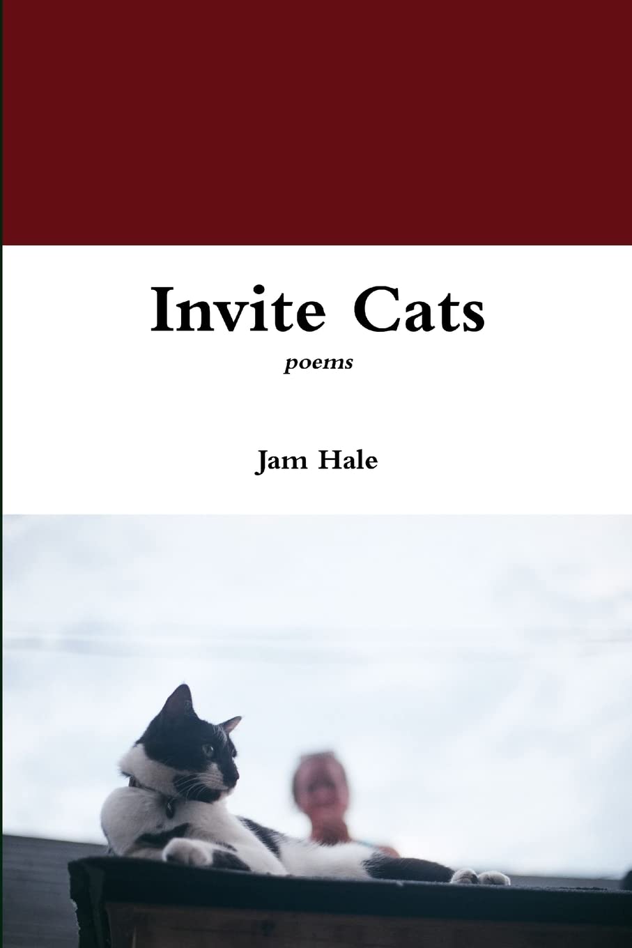 Invite Cats