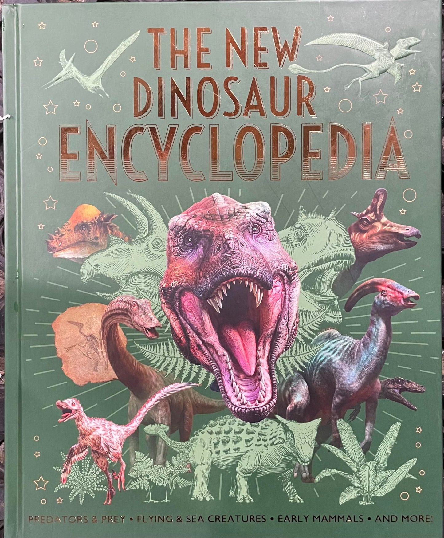 The New Dinosaur Encyclopedia