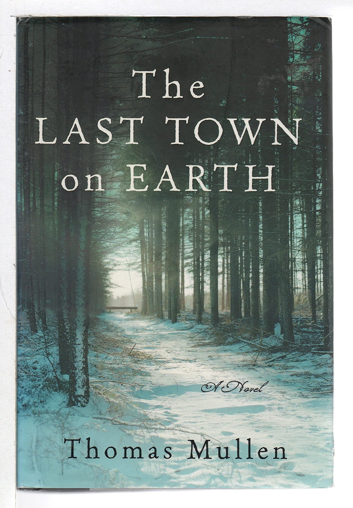 The Last Town on Earth: A Novel