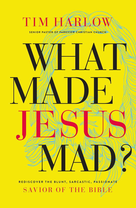 What Made Jesus Mad?: Rediscover the Blunt, Sarcastic, Passionate Savior of the Bible - 5961