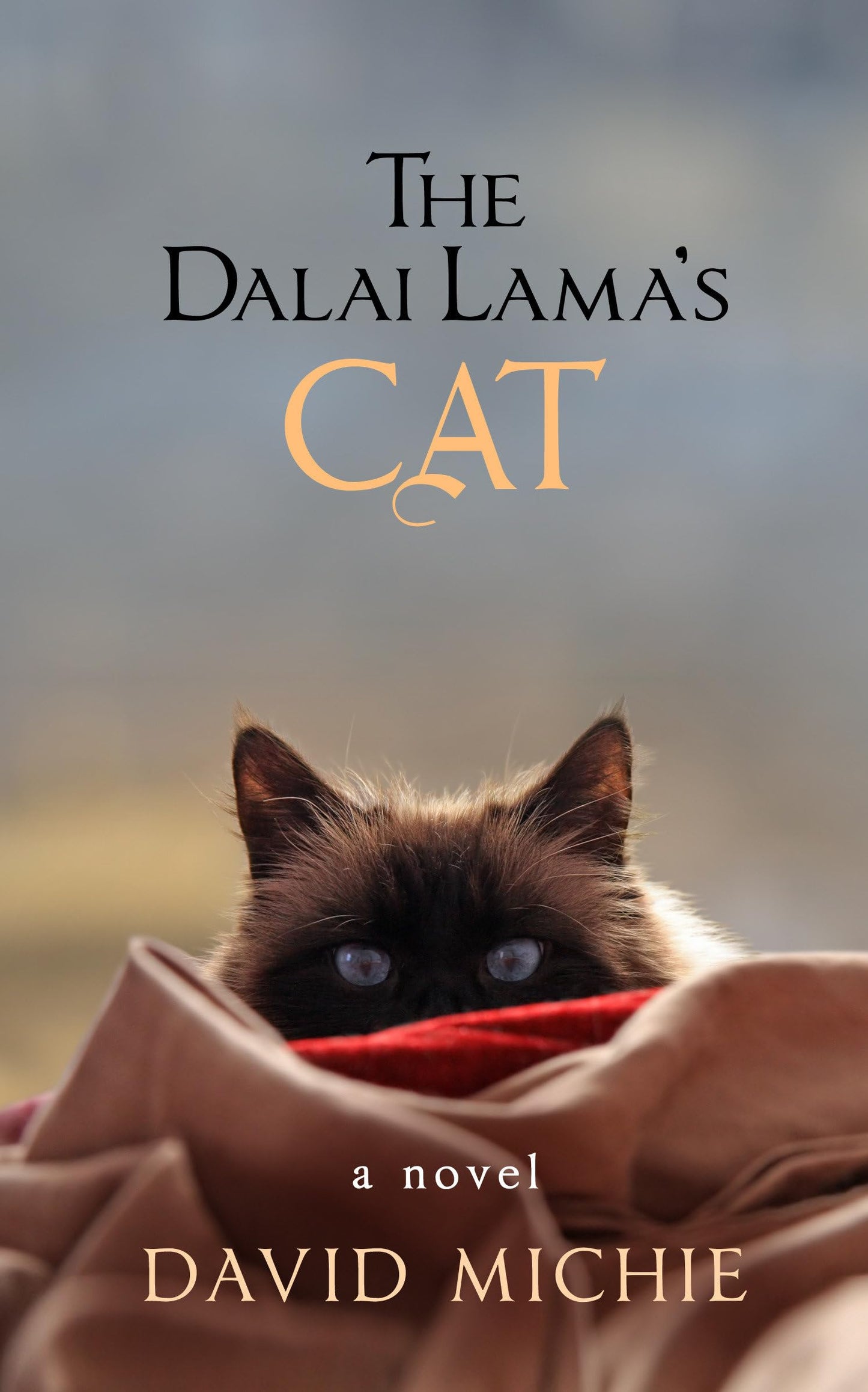 The Dalai Lama's Cat - 5823