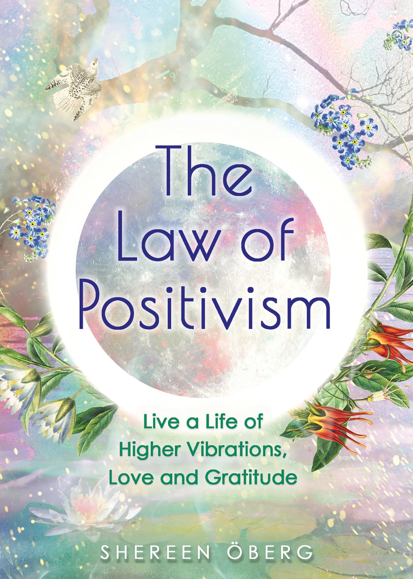 The Law of Positivism: Live a Life of Higher Vibrations, Love and Gratitude - 3720