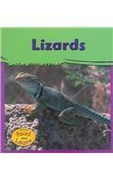 Lizards (My Big Backyard)