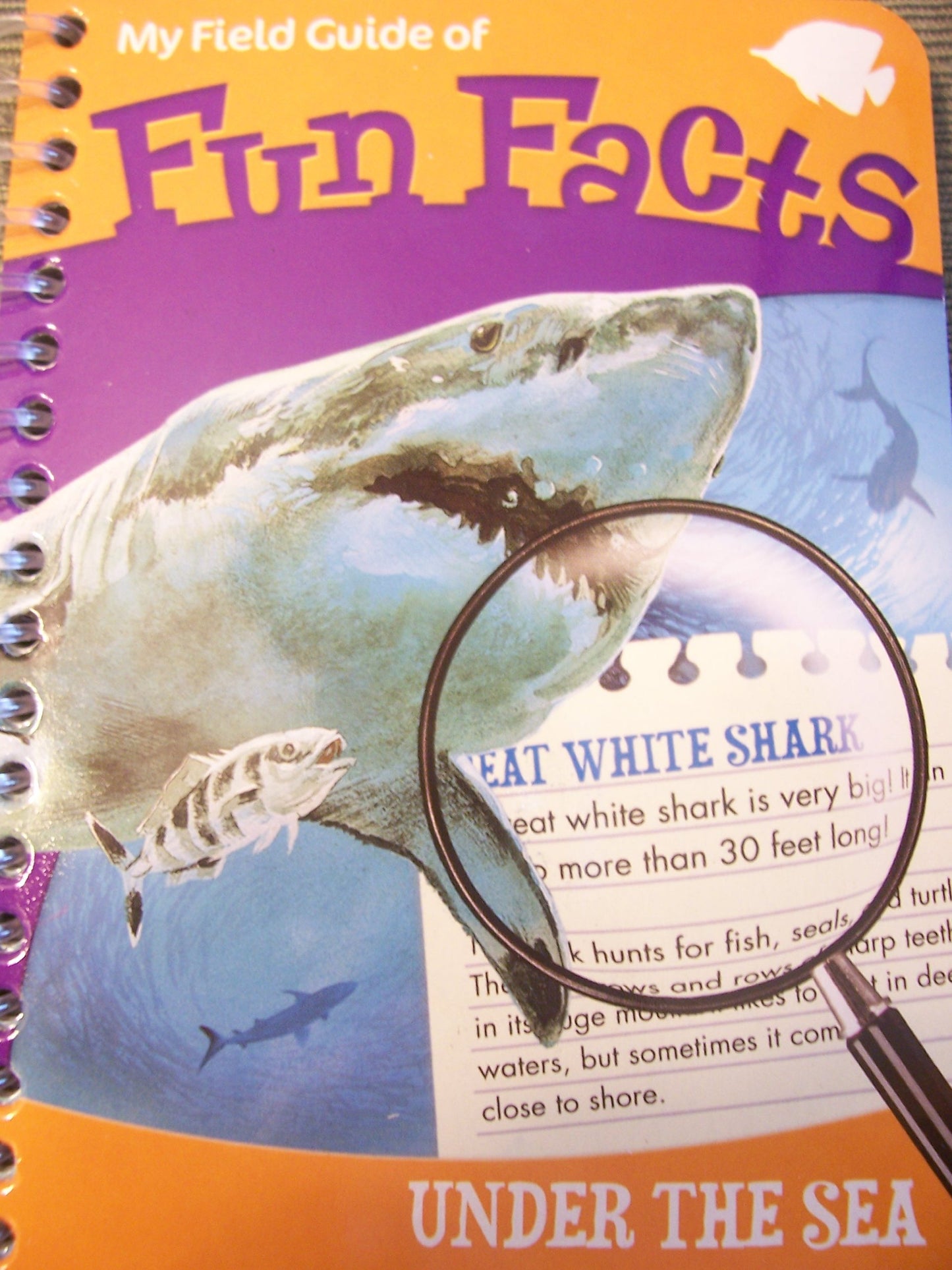 My Field Guide of Fun Facts ~ Under the Sea