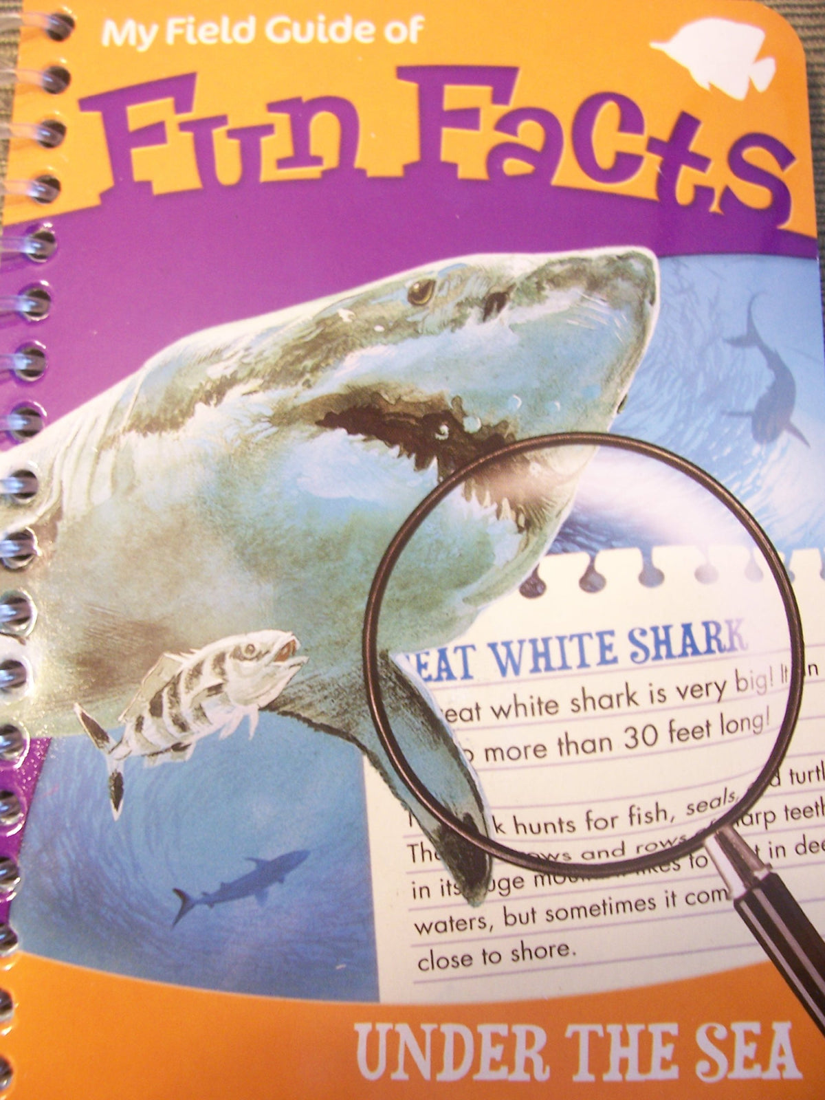 My Field Guide of Fun Facts ~ Under the Sea