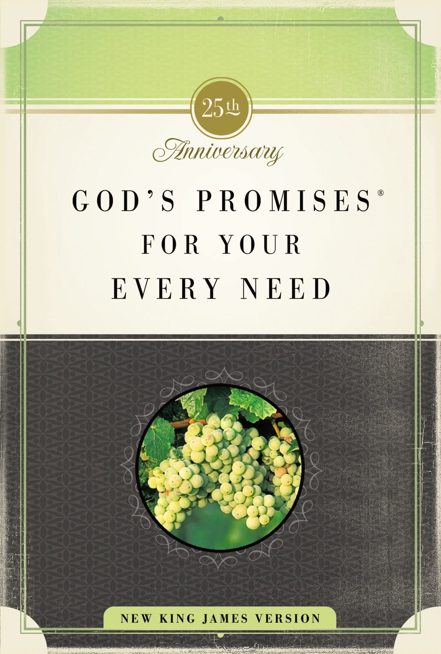 God's Promises for Your Every Need, NKJV, 25th Anniversary Edition: A Treasury of Scripture for Life - 3831