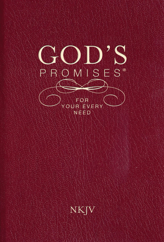GOD'S PROMISES FOR YOUR EVERY NE