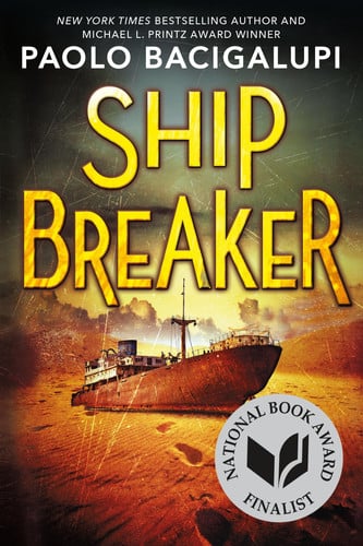 Ship breaker: [a novel]