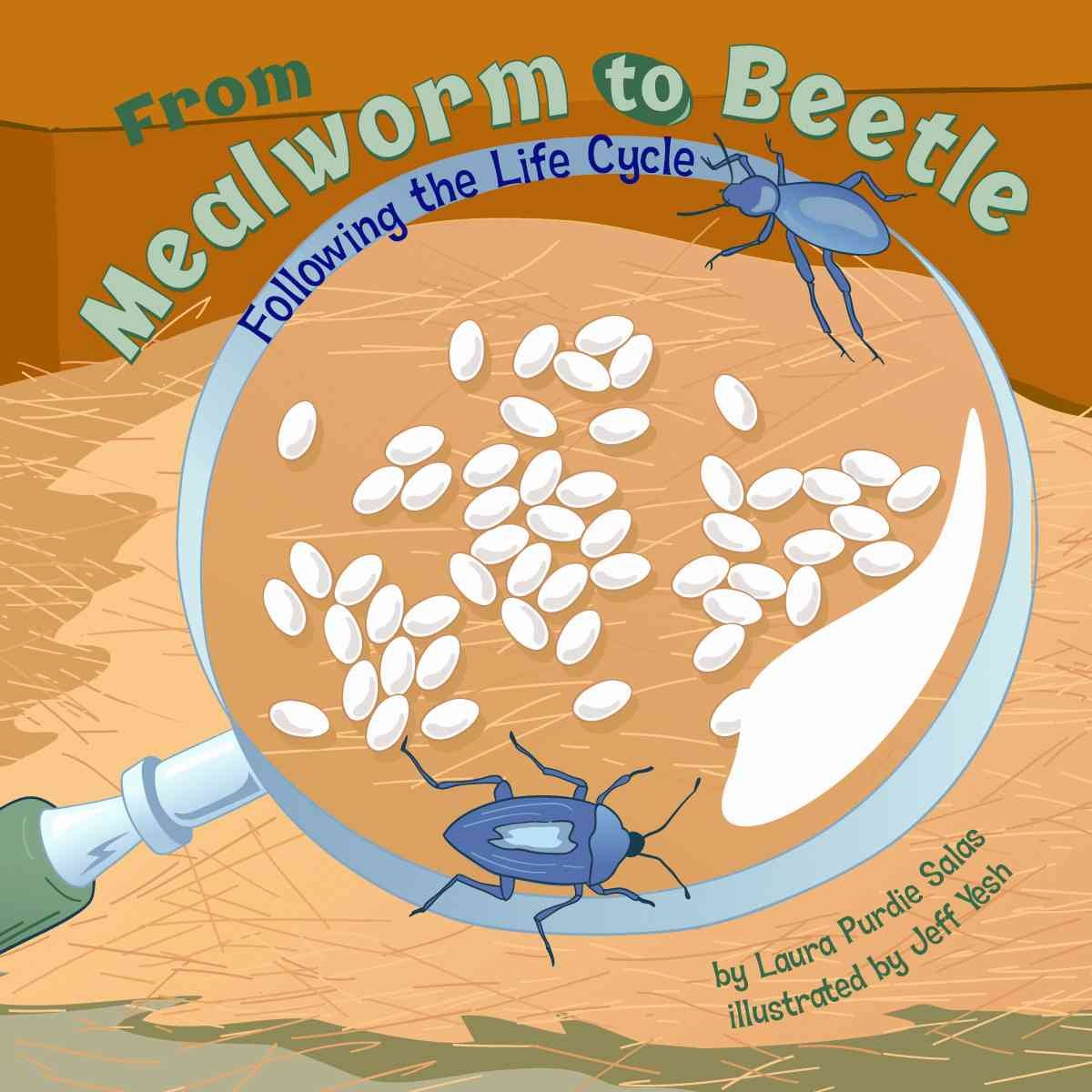 From Mealworm to Beetle: Following the Life Cycle (Amazing Science)