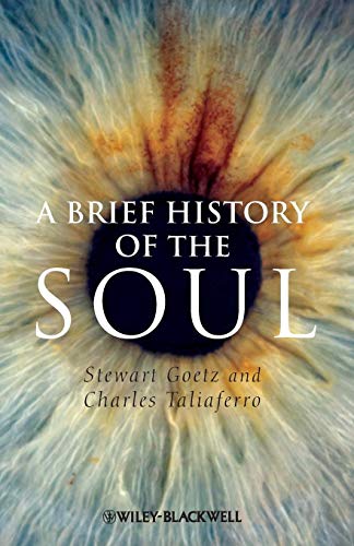 A Brief History of the Soul (Brief Histories of Philosophy)