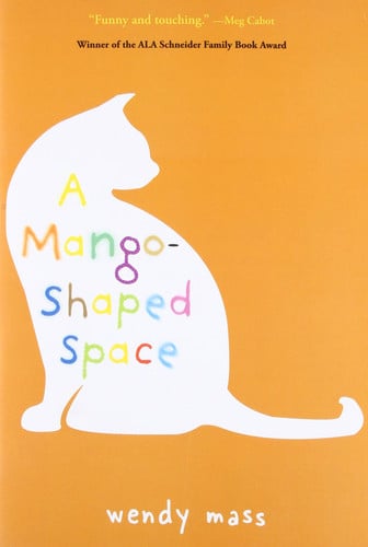A mango-shaped space: a novel