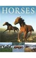 Horses: Myth and Fascination
