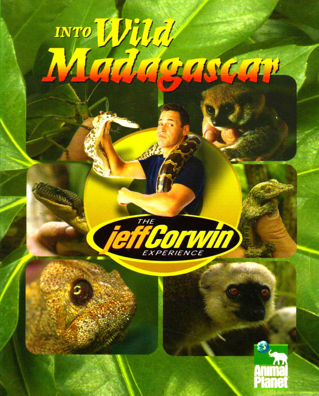 The Jeff Corwin Experience - Into Wild Madagascar