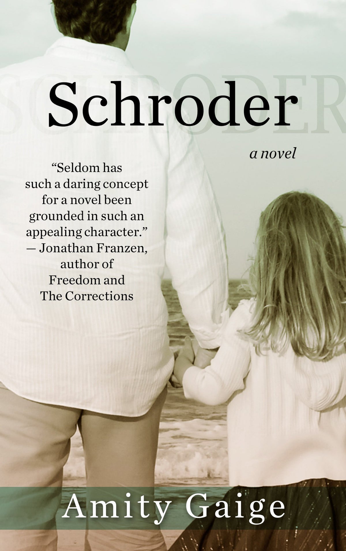 Schroder (Thorndike Press Large Print Basic)