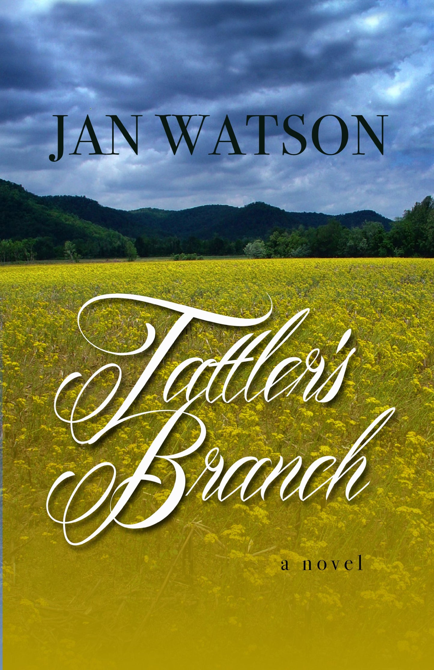 Tattler's Branch (Thorndike Press Large Print Christian Historical Fiction)