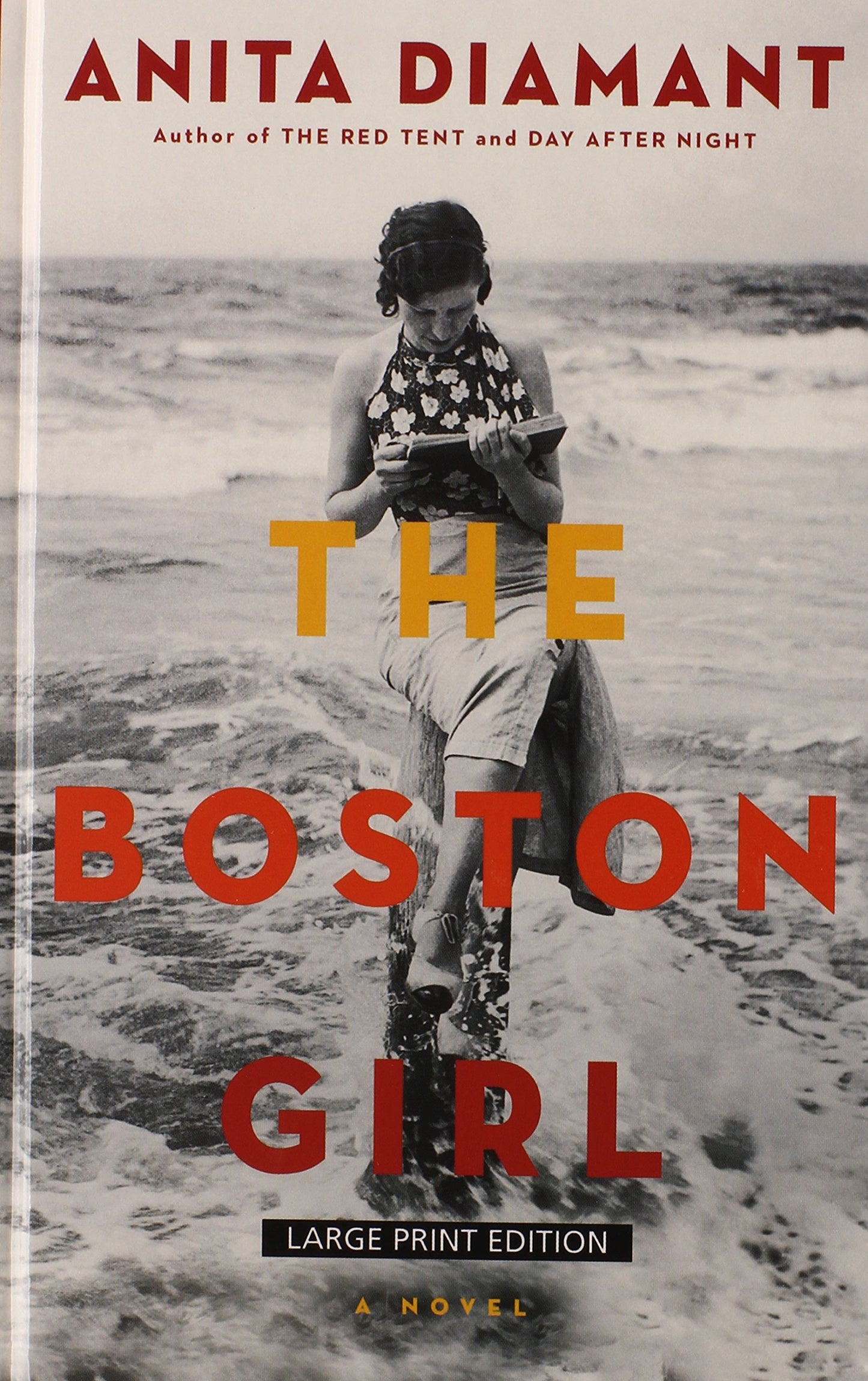 The Boston Girl (Thorndike Press large print basic)