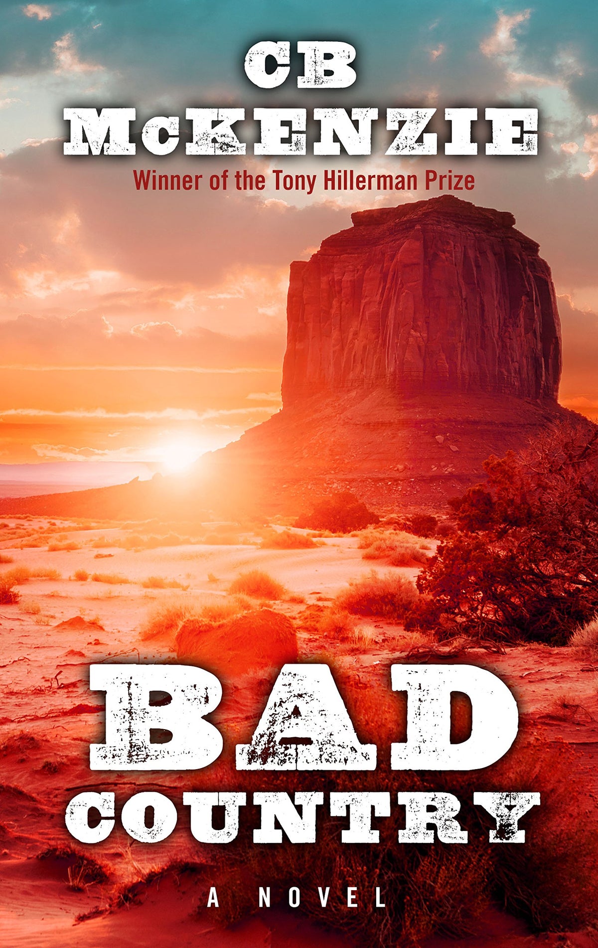 Bad Country (Thorndike Large Print Crime Scene)