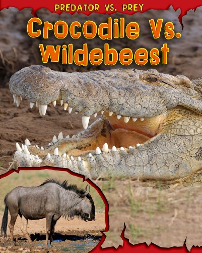 Crocodile vs. Wildebeest (Read Me!: Predator Vs. Prey, 1)