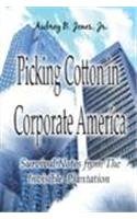 Picking Cotton in Corporate America: Survival Notes from the Invisible Plantation - 93