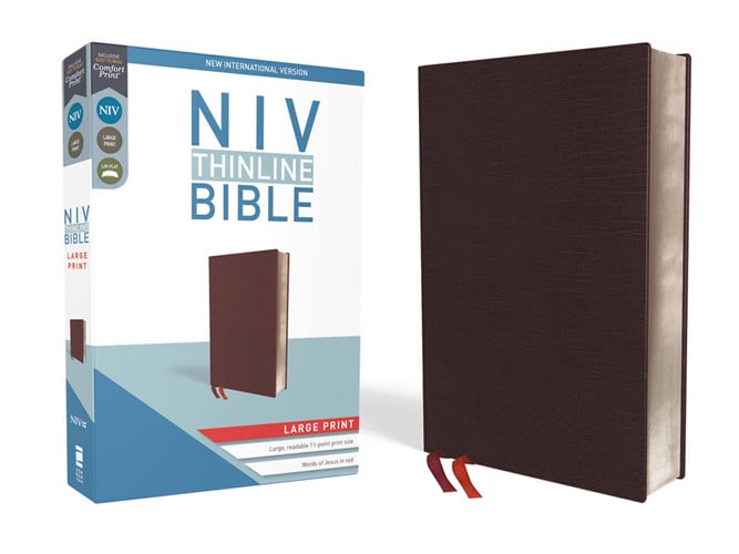 NIV Thinline Bible Red Letter Edition [Large Print, Burgundy]