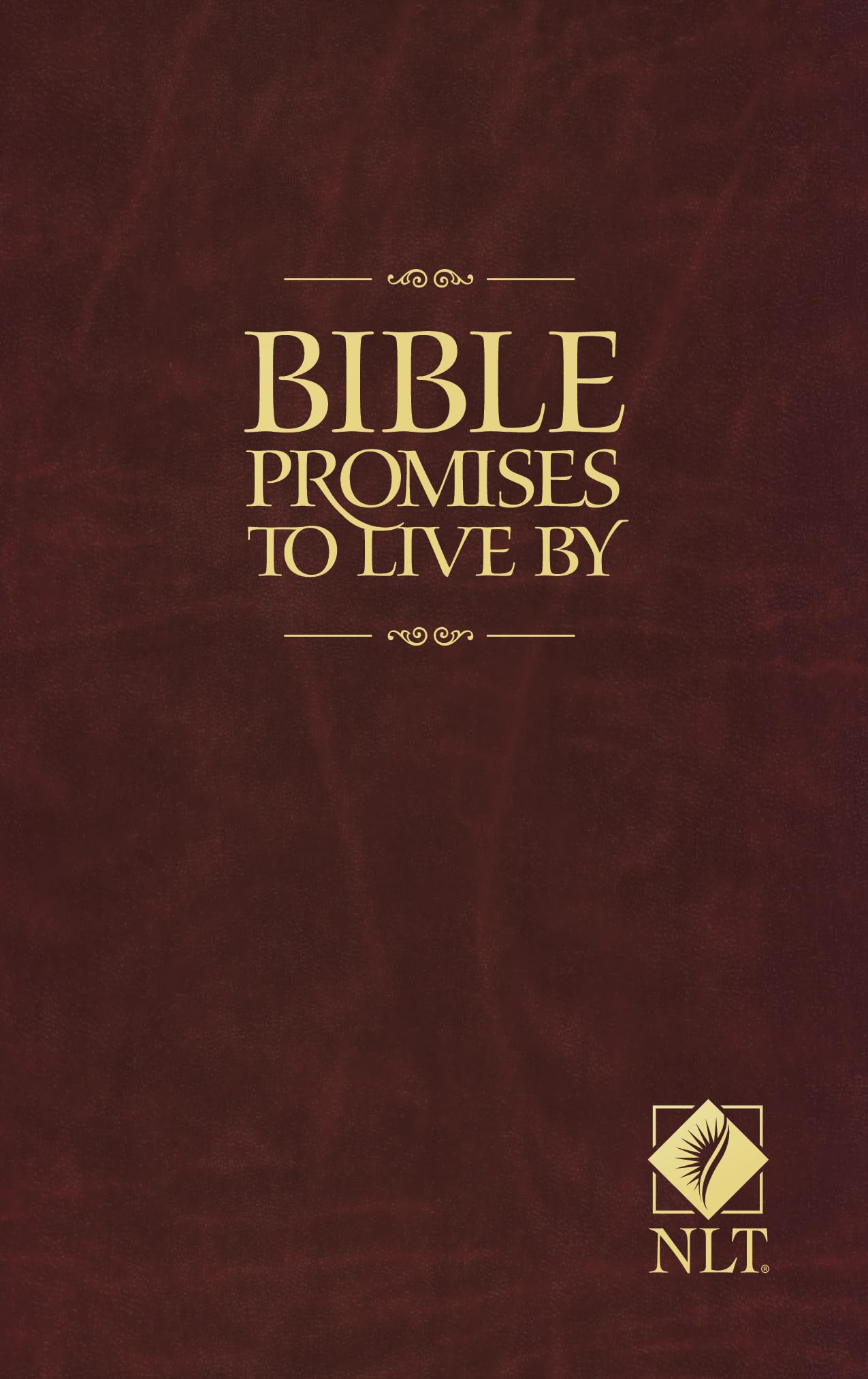Bible Promises to Live By - 5411