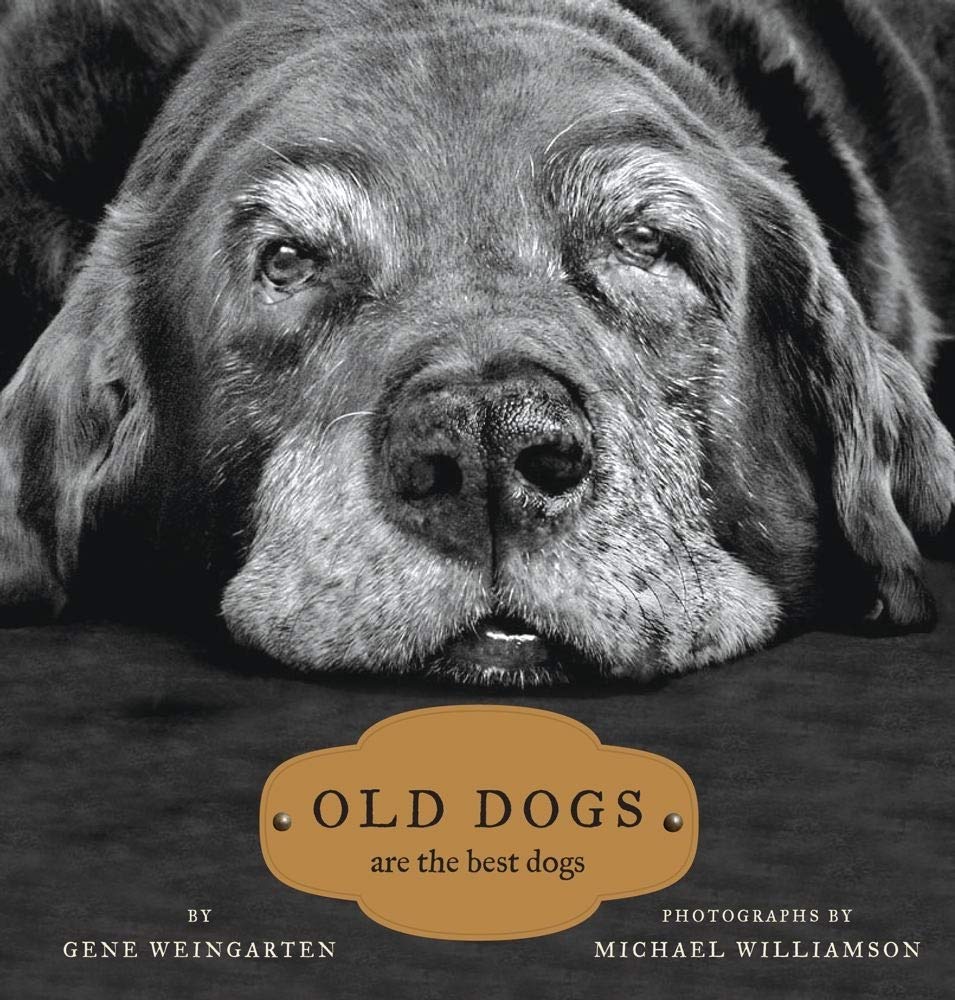 Old Dogs: Are the Best Dogs - 7841