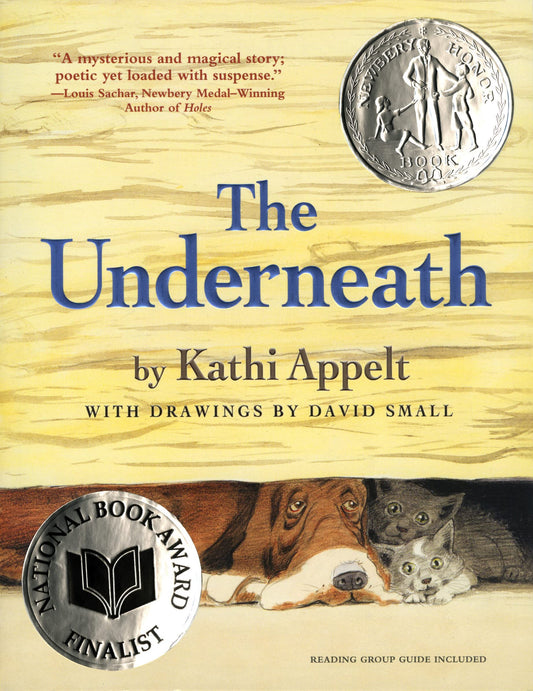 THE UNDERNEATH - 8529