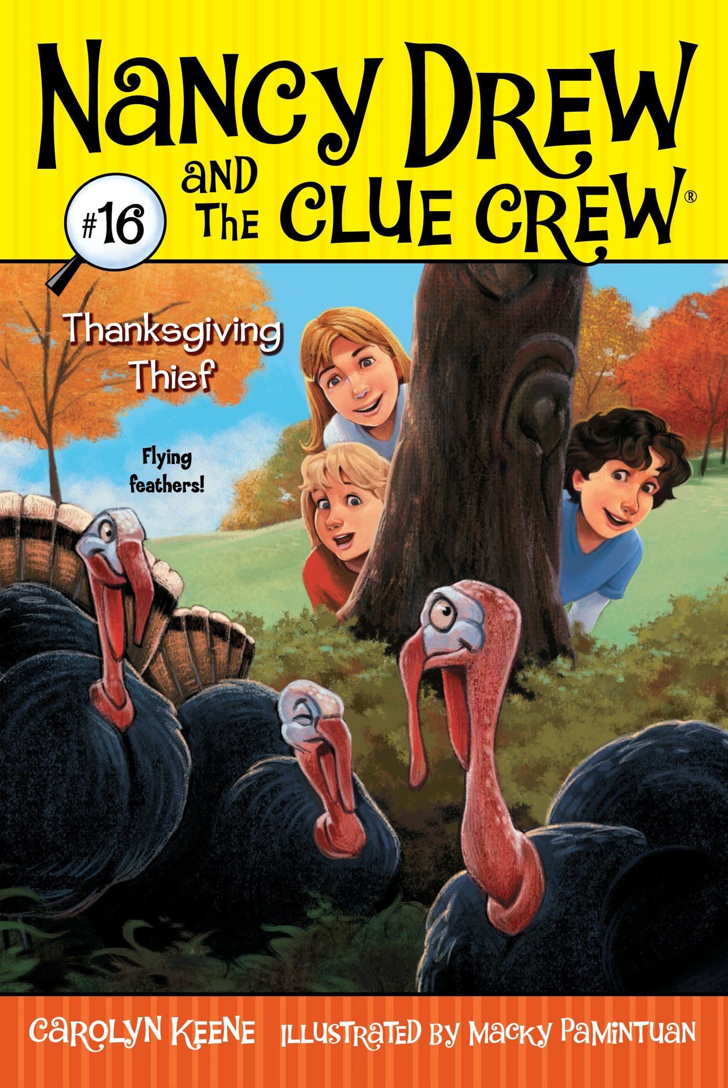 Thanksgiving Thief (16) (Nancy Drew and the Clue Crew)