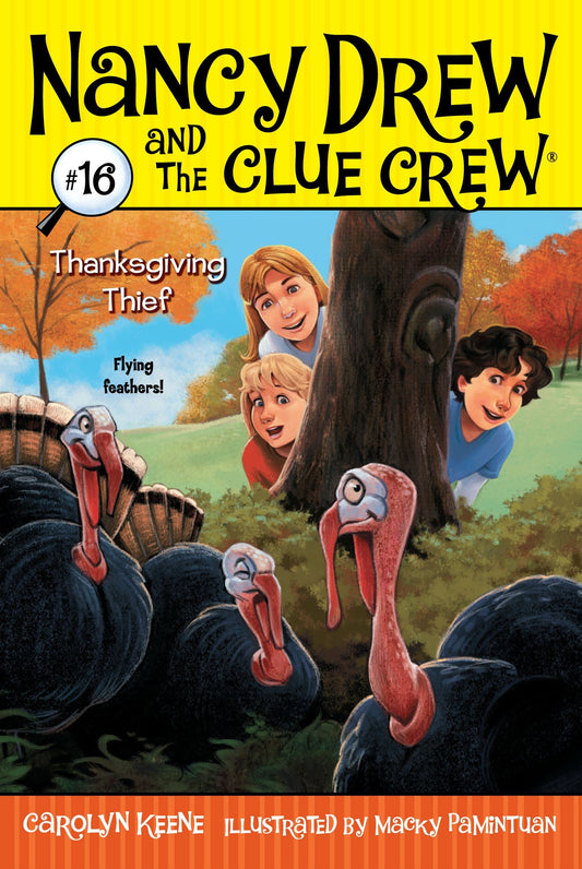 Thanksgiving Thief (16) (Nancy Drew and the Clue Crew)