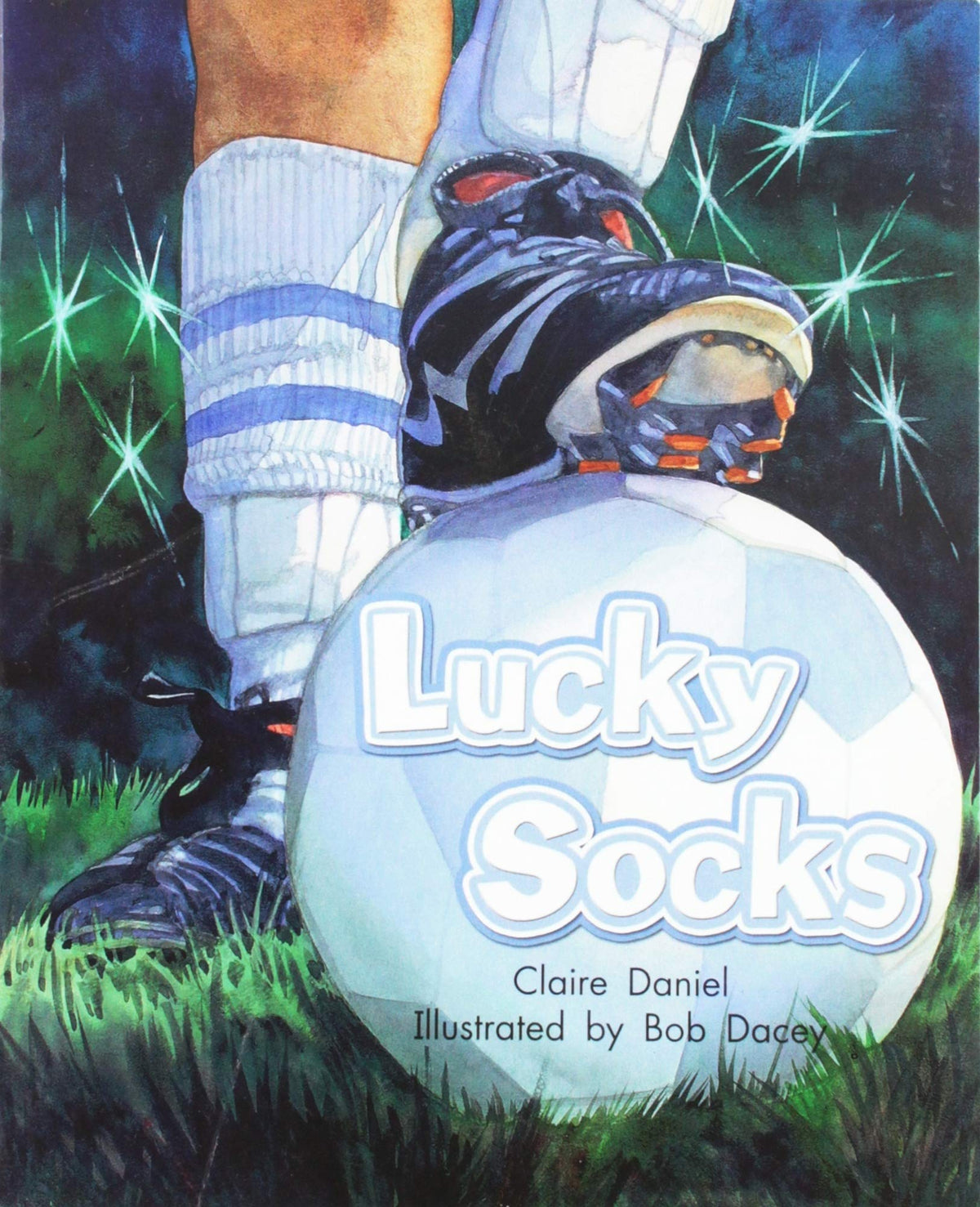 Lucky Socks (Rigby Literacy by Design Readers, Grade 3)