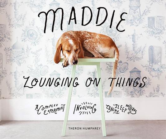 Maddie Lounging On Things: A Complex Experiment Involving Canine Sleep Patterns - 1187