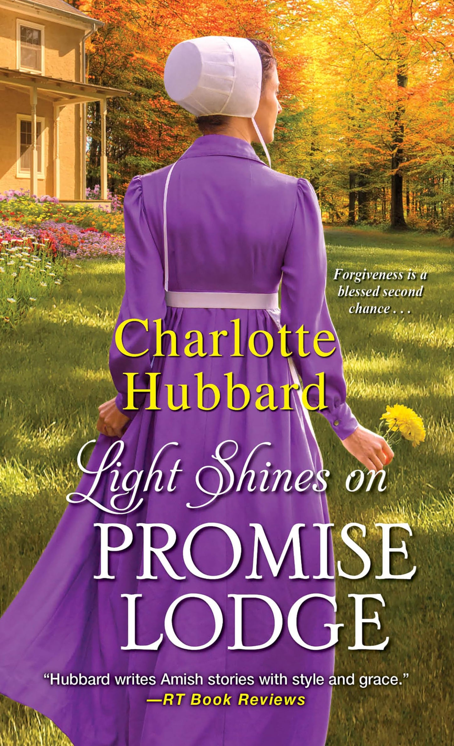 Light Shines on Promise Lodge: A Second Chance Amish Romance - 5943