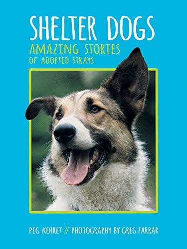 Shelter Dogs Amazing Stories of Adopted Strays