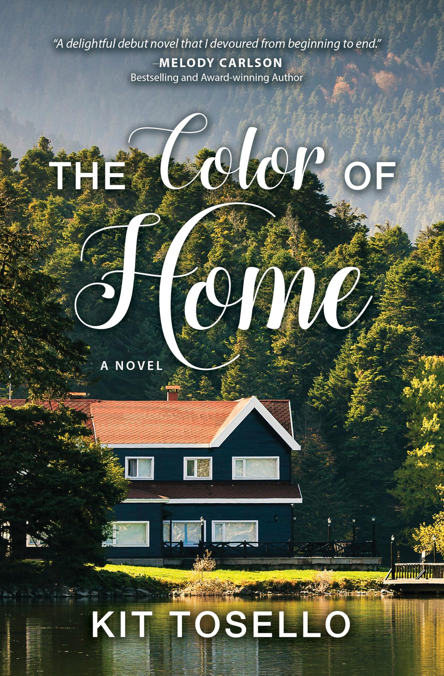 The Color of Home: A Novel (Thorndike Press Large Print Christian Fiction)