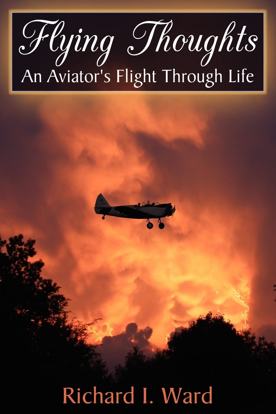 Flying Thoughts: An Aviator's Flight Through Life