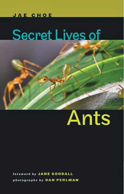 Secret Lives of Ants - 1258