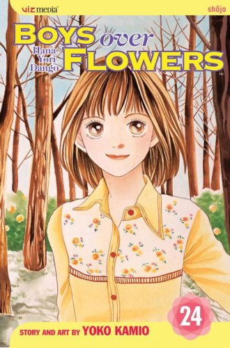 Boys Over Flowers, Vol. 24