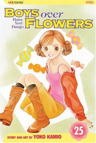 Boys Over Flowers, Vol. 25