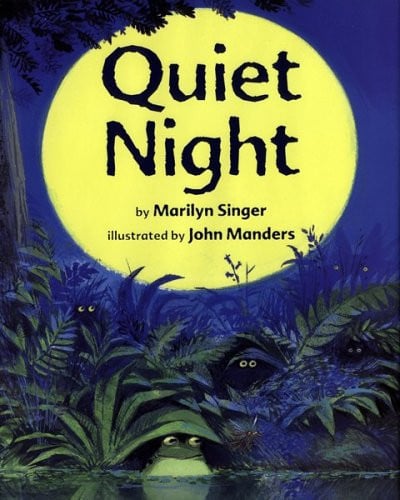 Quiet night
