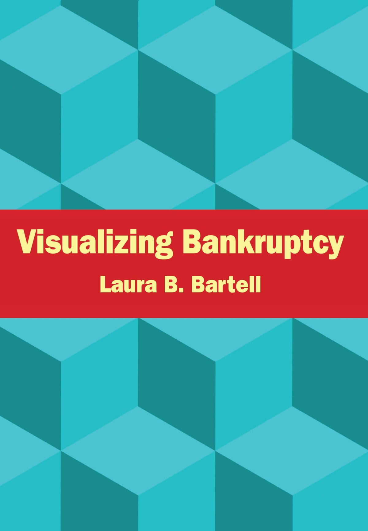 Visualizing Bankruptcy