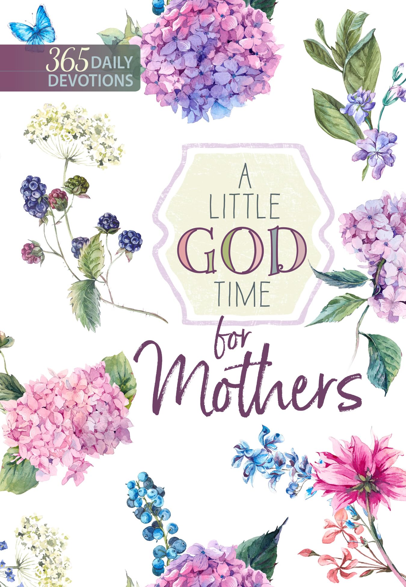 A Little God Time for Mothers: 365 Daily Devotions - 9949