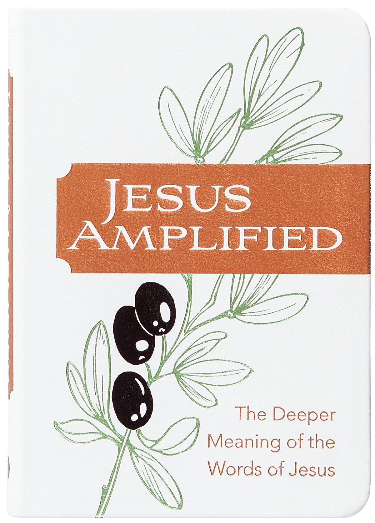 Jesus Amplified: The Deeper Meaning of the Words of Jesus – Discover the Richness of the Bible’s Original Languages