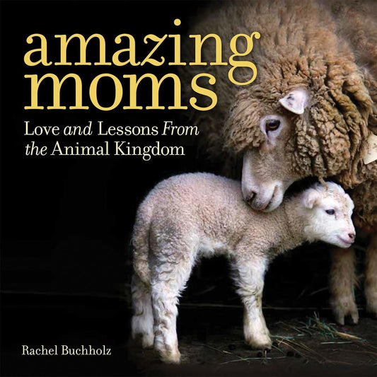 Amazing Moms: Love and Lessons From the Animal Kingdom - 2540
