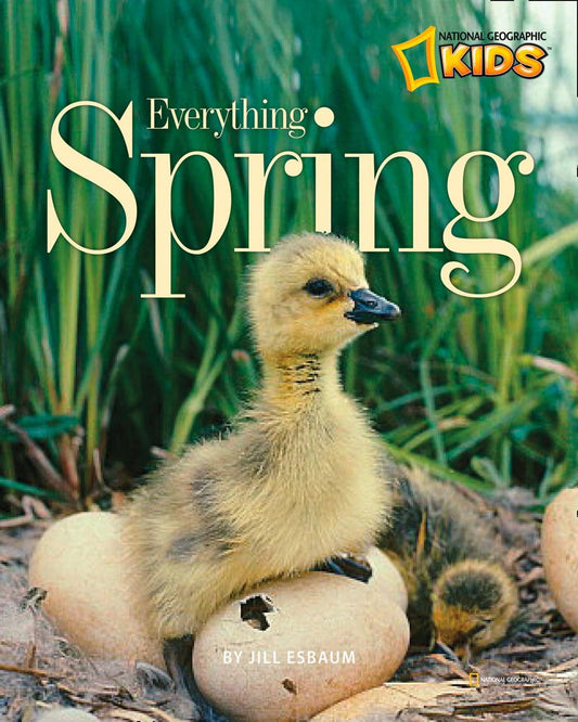 Everything Spring (Picture the Seasons) - 9553